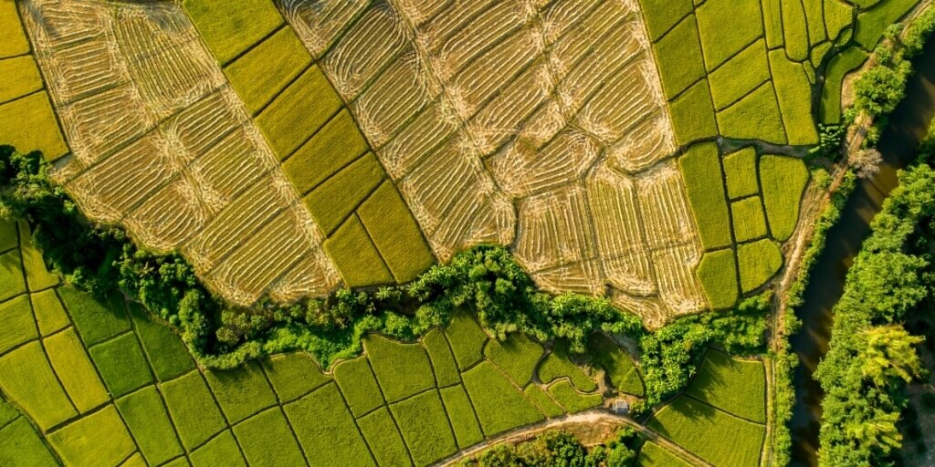 geoprocessamento